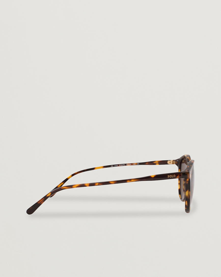 Uomini | Occhiali da sole | Polo Ralph Lauren | 0PH4110 Round Sunglasses Havana