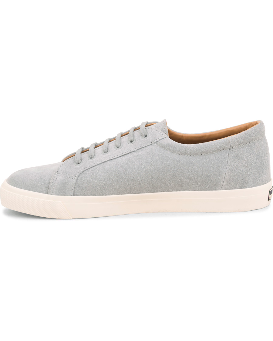Uomini | Superga Suede Sneaker Light Grey | Superga | Suede Sneaker Light Grey
