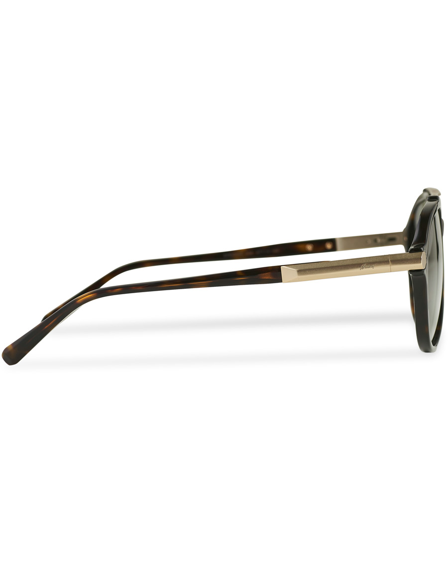 Uomini | Brioni BR0096S Sunglasses Havana Green | Brioni | BR0096S Sunglasses Havana Green