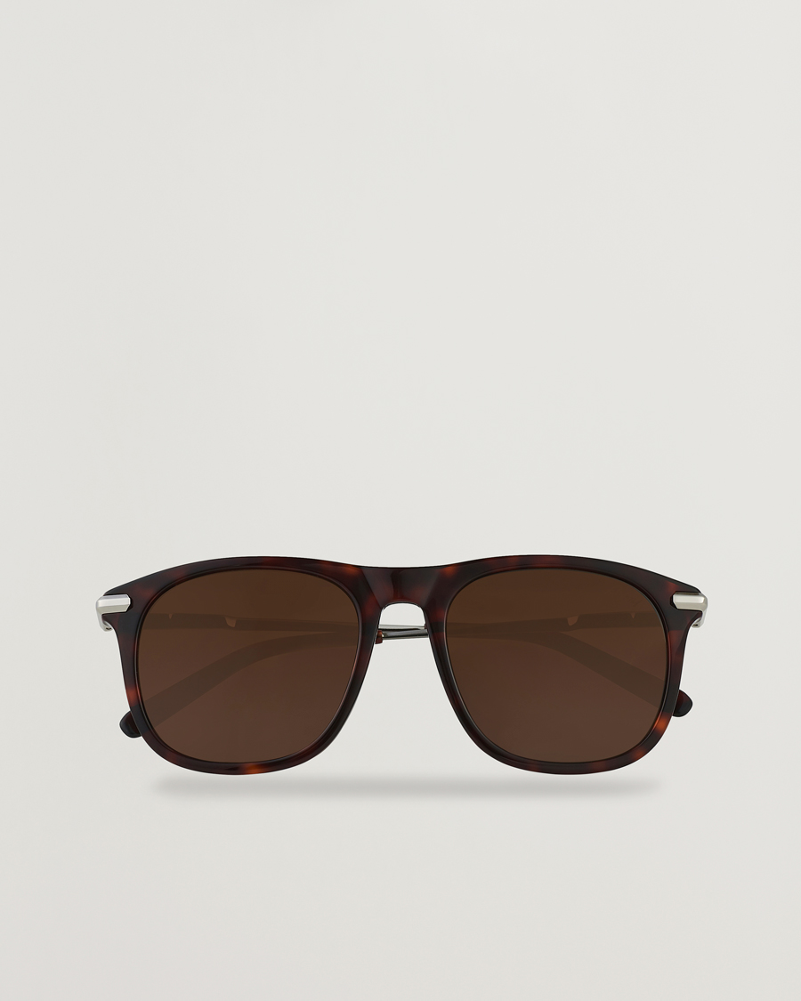 Uomini | Brioni BR0094S Sunglasses Havana Brown | Brioni | BR0094S Sunglasses Havana Brown