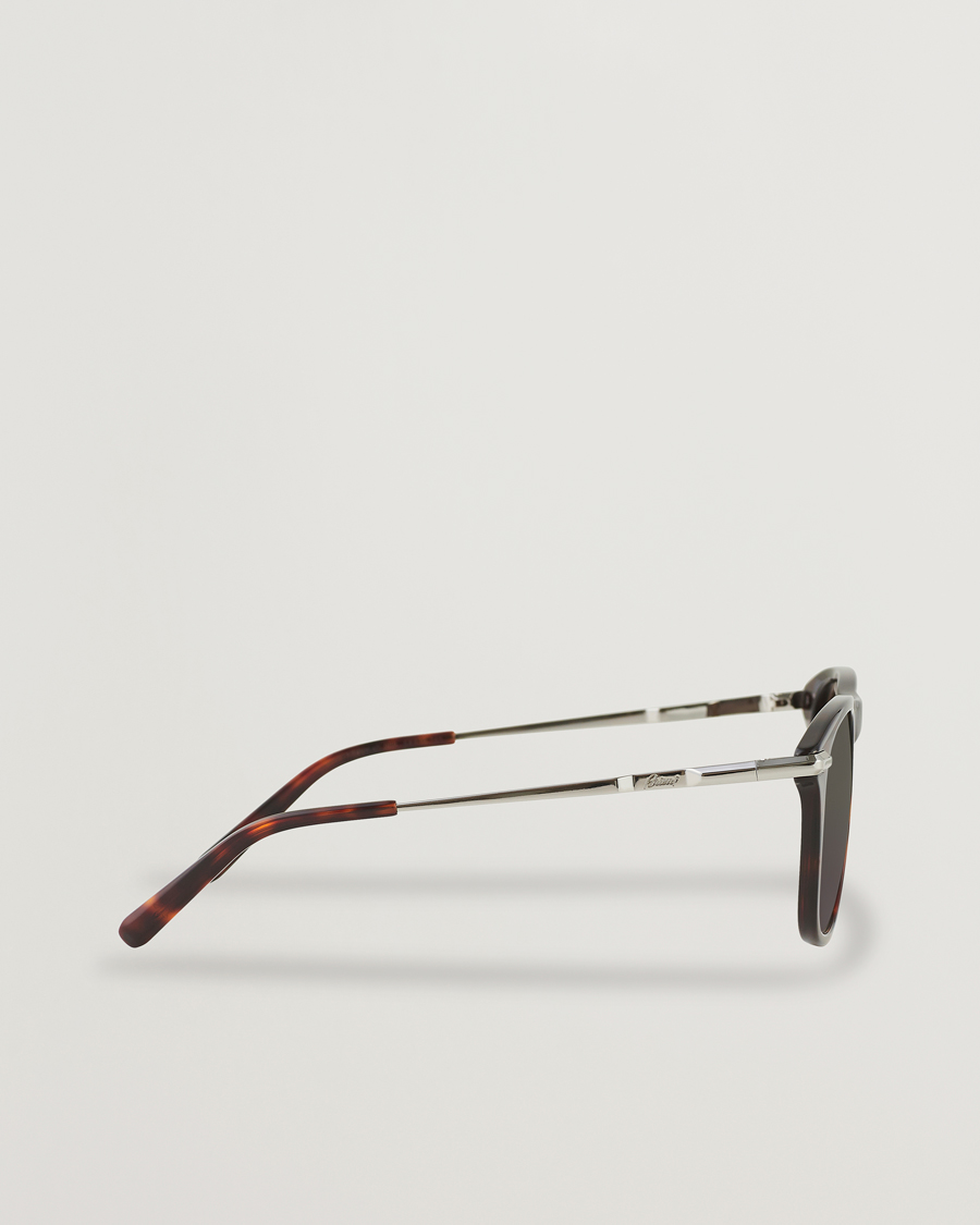 Uomini | Brioni BR0094S Sunglasses Havana Brown | Brioni | BR0094S Sunglasses Havana Brown