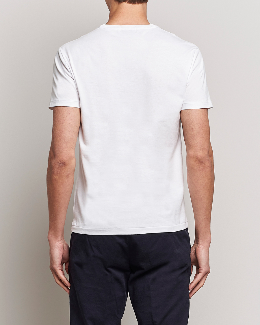Uomini | T-shirt | Polo Ralph Lauren | Printed Regatta Bear Crew Neck T-Shirt White