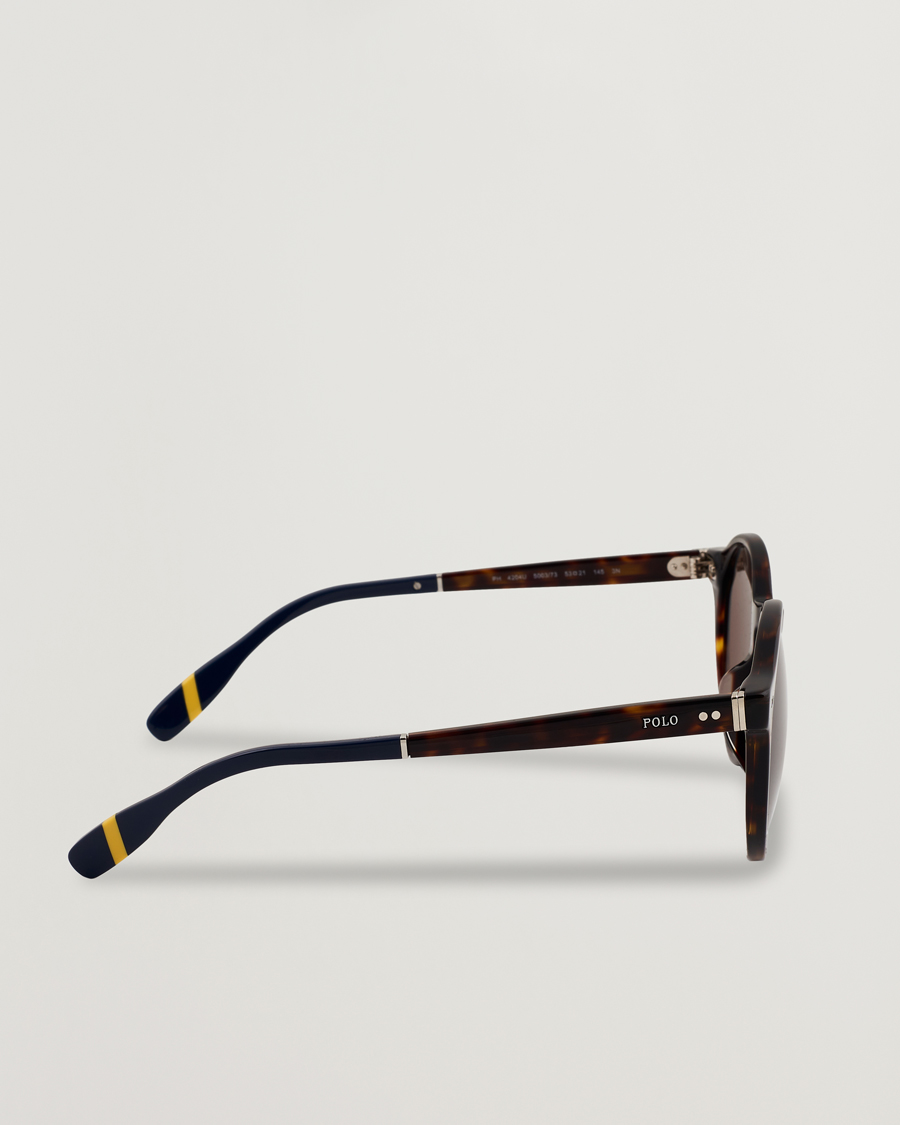 Uomini | Occhiali da sole | Polo Ralph Lauren | 0PH4204U Sunglasses Dark Havana