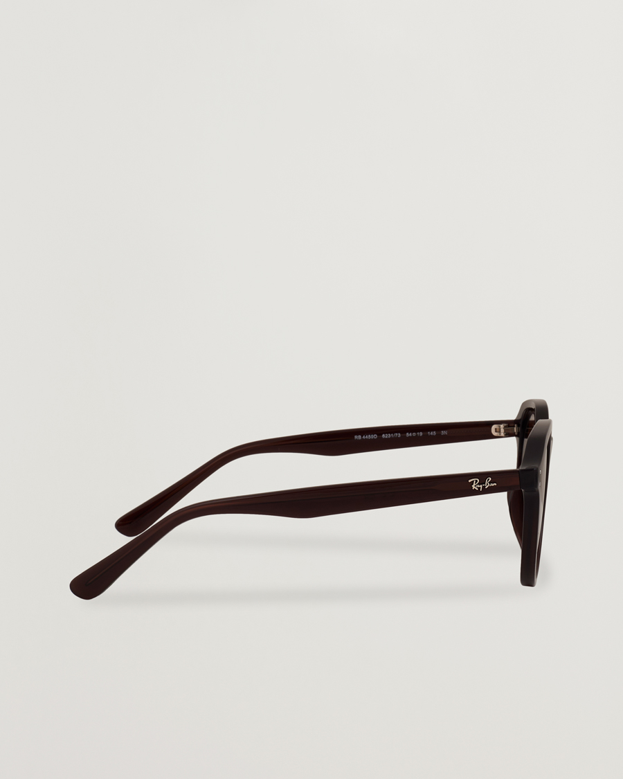 Uomini | Occhiali da sole | Ray-Ban | 0RB4459D Sunglasses Opal Brown