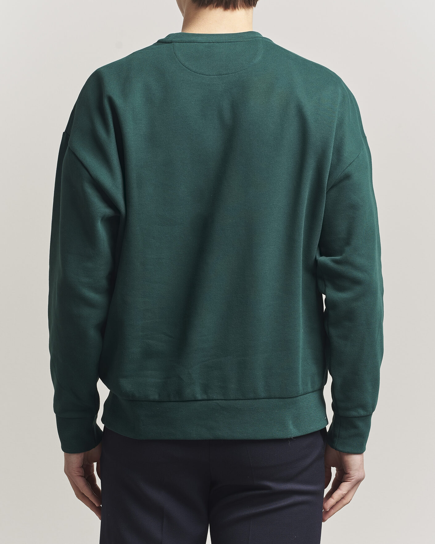 Uomini | Maglieria | RLX Ralph Lauren | Loopback Terry Bear Sweatshirt Moss Agate