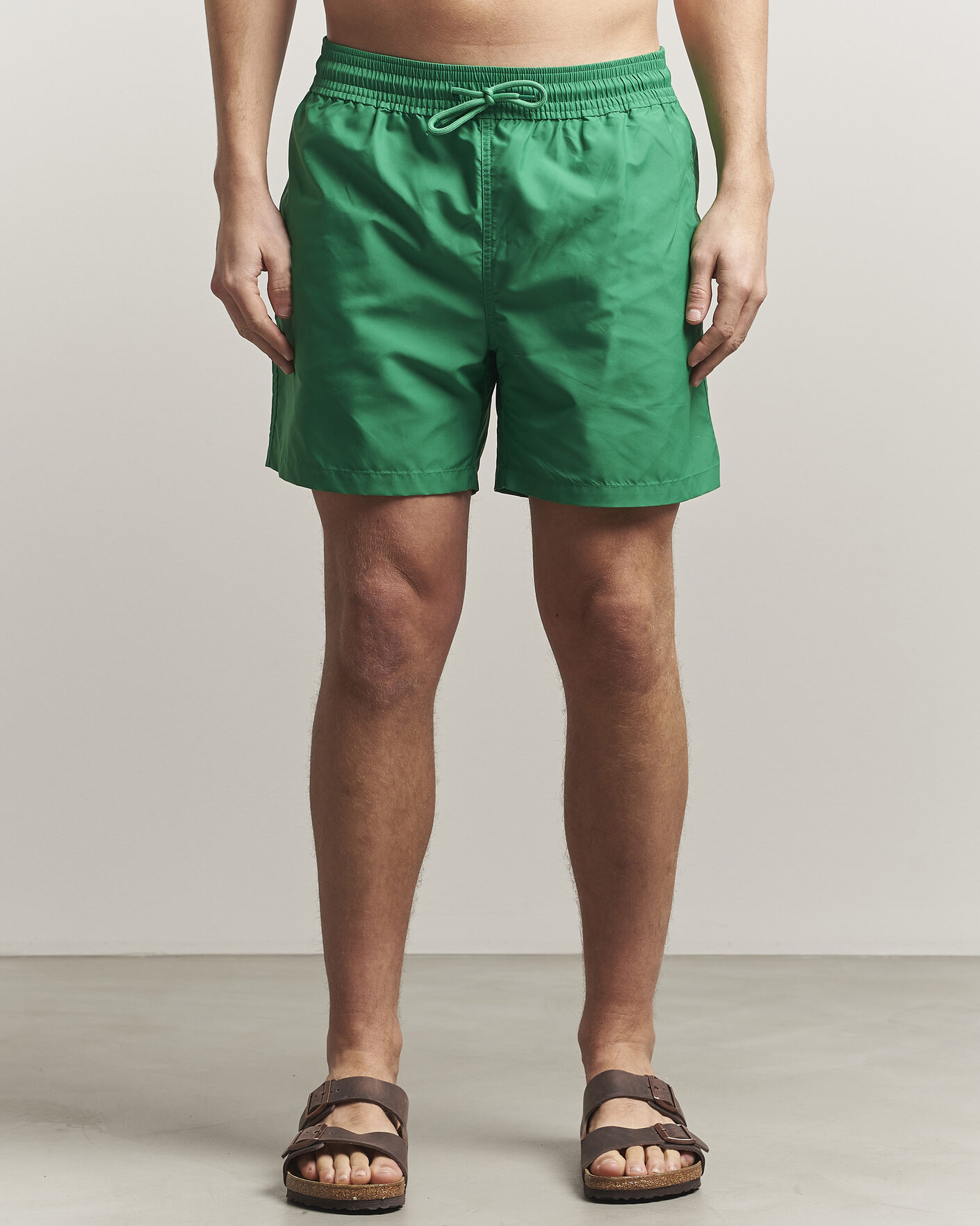 Uomini | Costumi da bagno | Colorful Standard | Classic Organic Swim Shorts Kelly Green