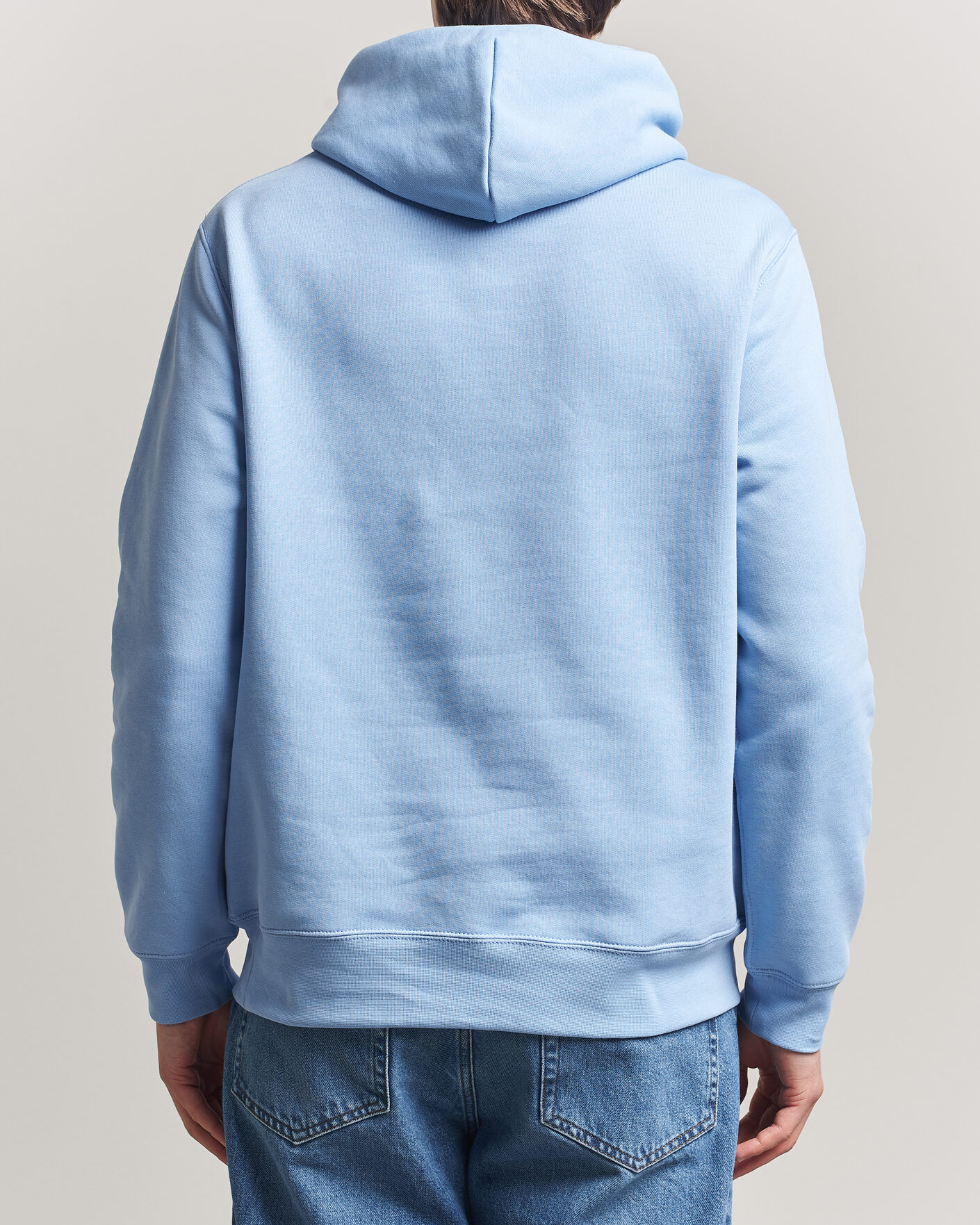 Uomini | Maglieria | Polo Ralph Lauren | Fleece Bear Hoodie Austin Blue