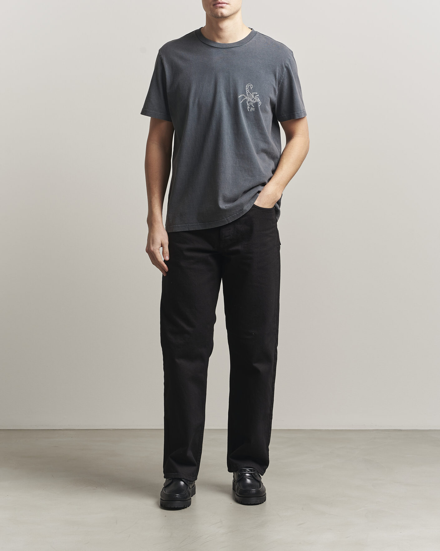 Uomini | T-shirt | Nudie Jeans | Roy Printed T-Shirt Antracite
