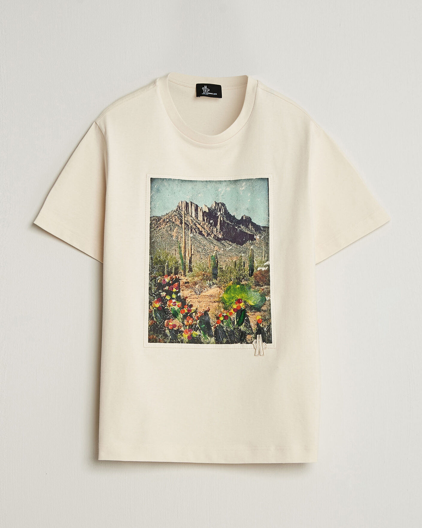 Uomini | T-shirt | Moncler Grenoble | Mountain Print T-Shirt Off White