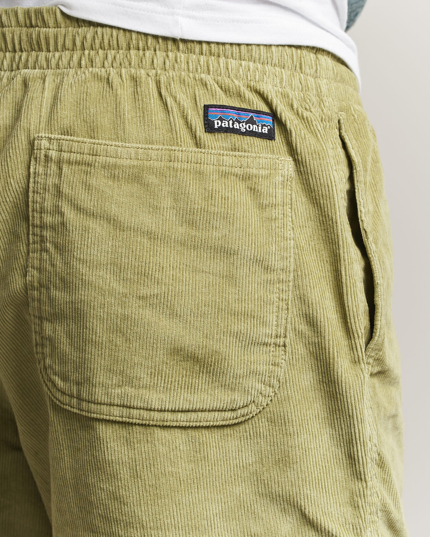 Uomini | Pantaloncini | Patagonia | Corduroy Volley Shorts Green