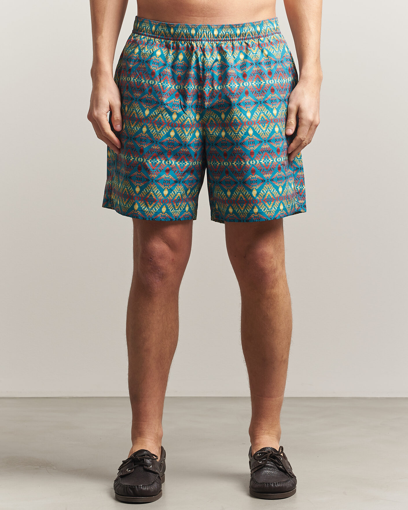 Uomini | Costumi da bagno | Pendleton | Volley Shorts Thunder Earthquake