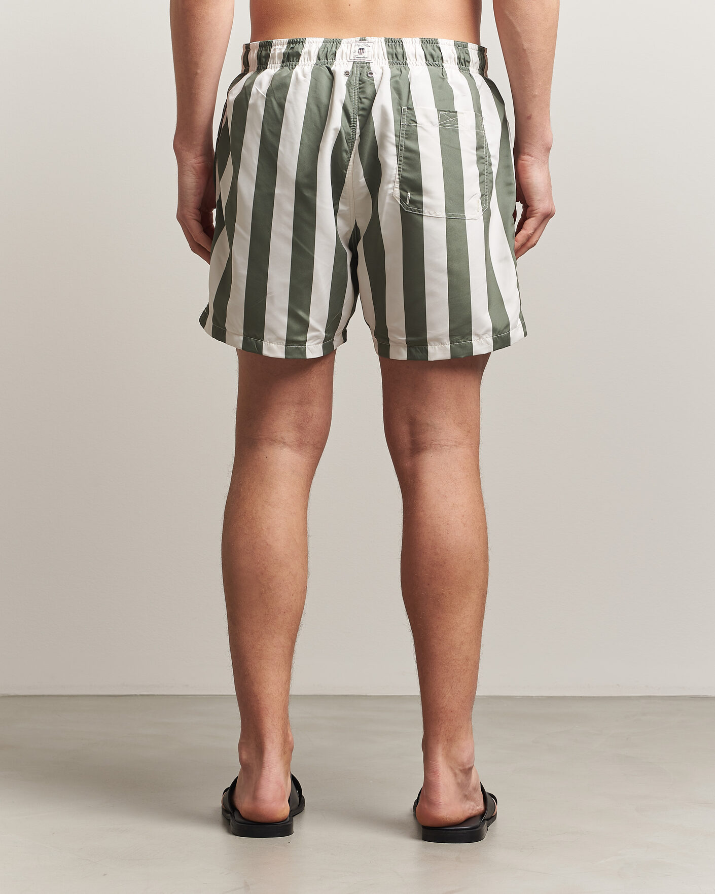Uomini | Costumi da bagno | Gant | Blockstriped Swimshorts Dry Herb Green