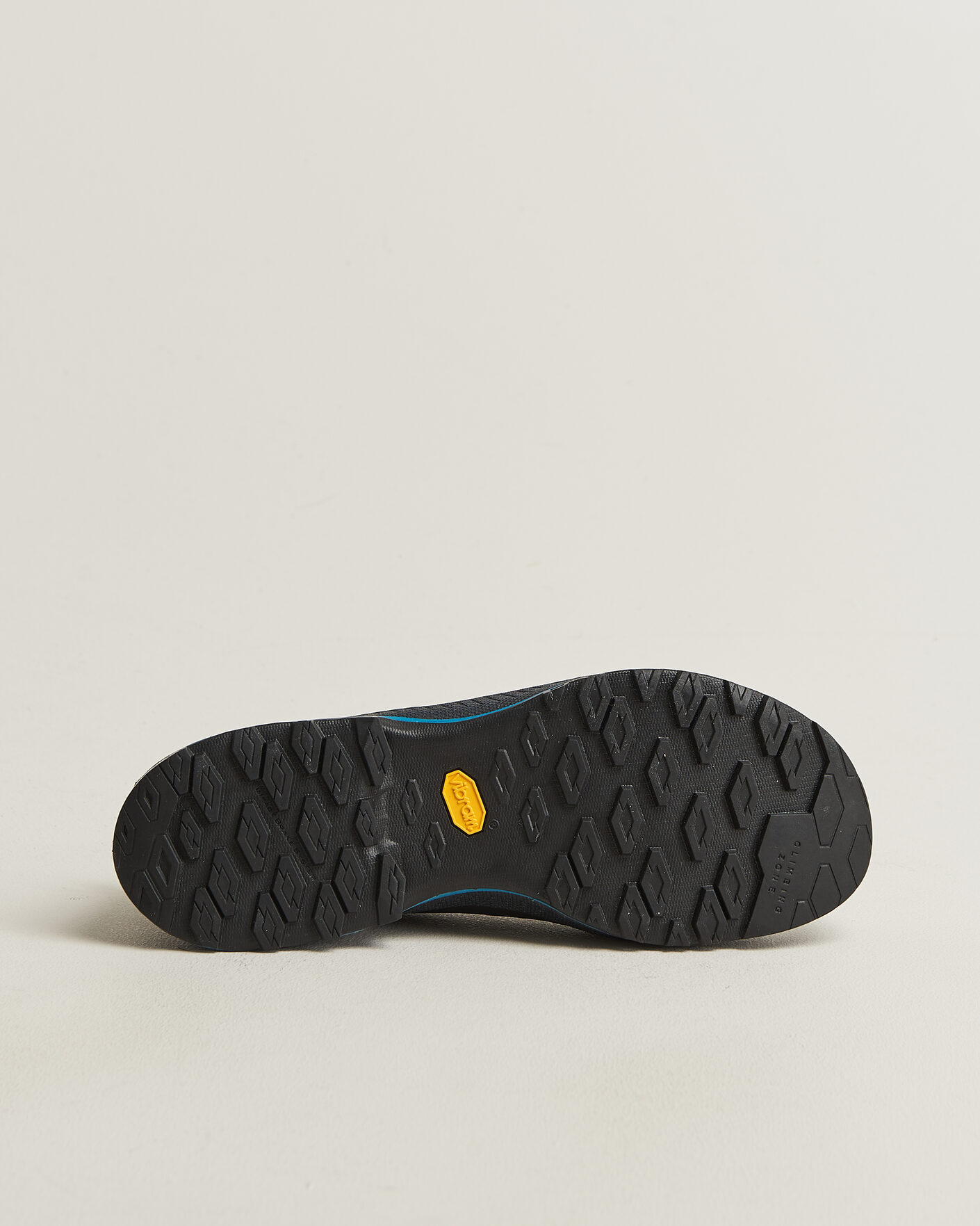 Uomini | Scarpe da trekking | La Sportiva | TX4 EVO Cypress/Night Sky