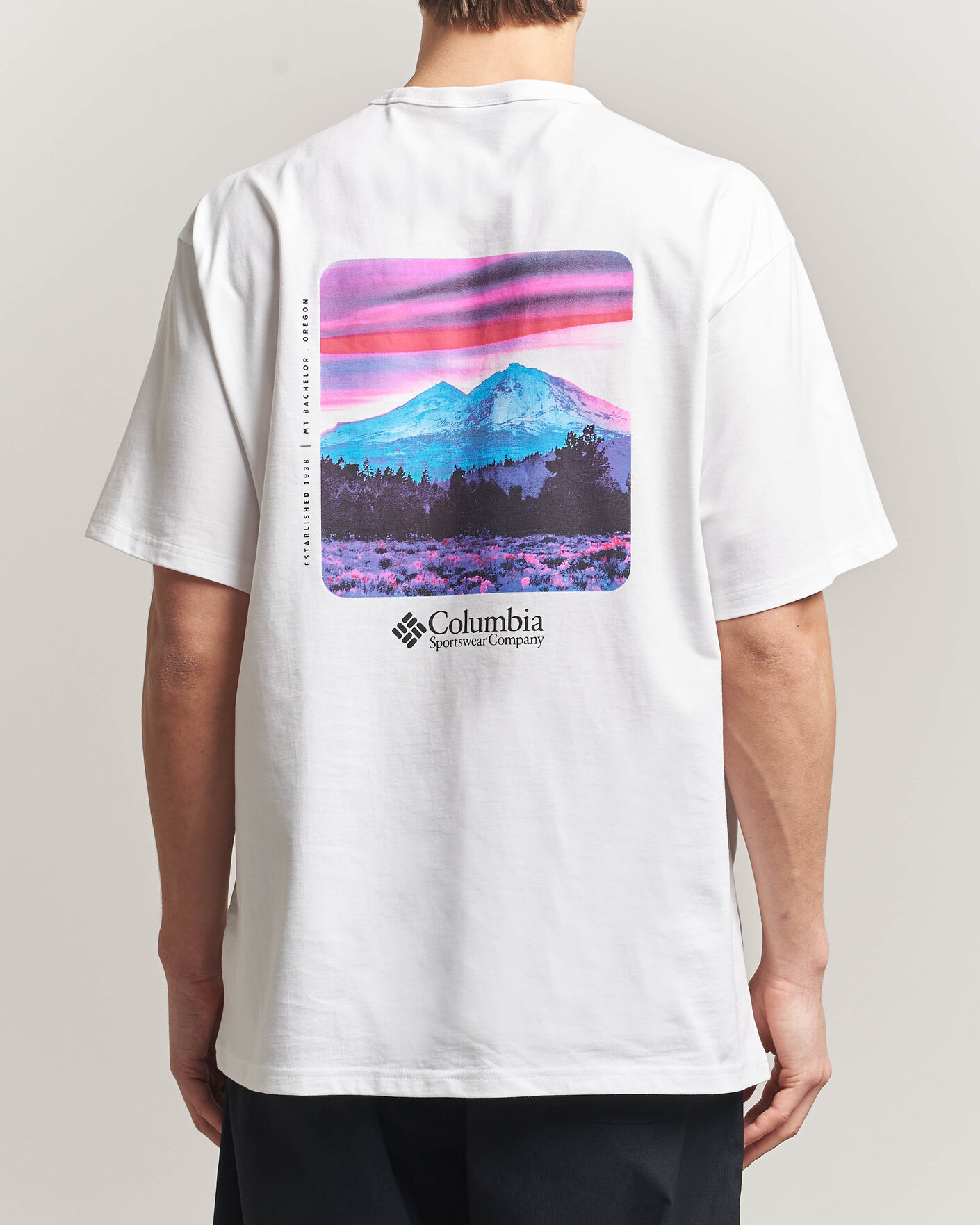 Uomini | T-shirt | Columbia | Heavyweight Back Graphic T-Shirt White