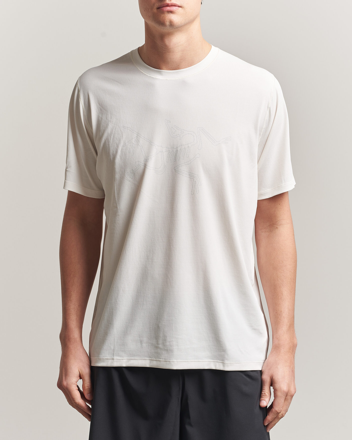Uomini | T-shirt | Arc'teryx | Cormac Bird Logo Crew Neck T-Shirt Arctic Silk