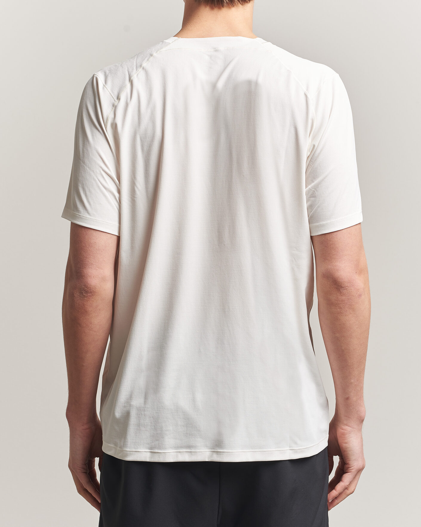 Uomini | T-shirt | Arc'teryx | Cormac Bird Logo Crew Neck T-Shirt Arctic Silk