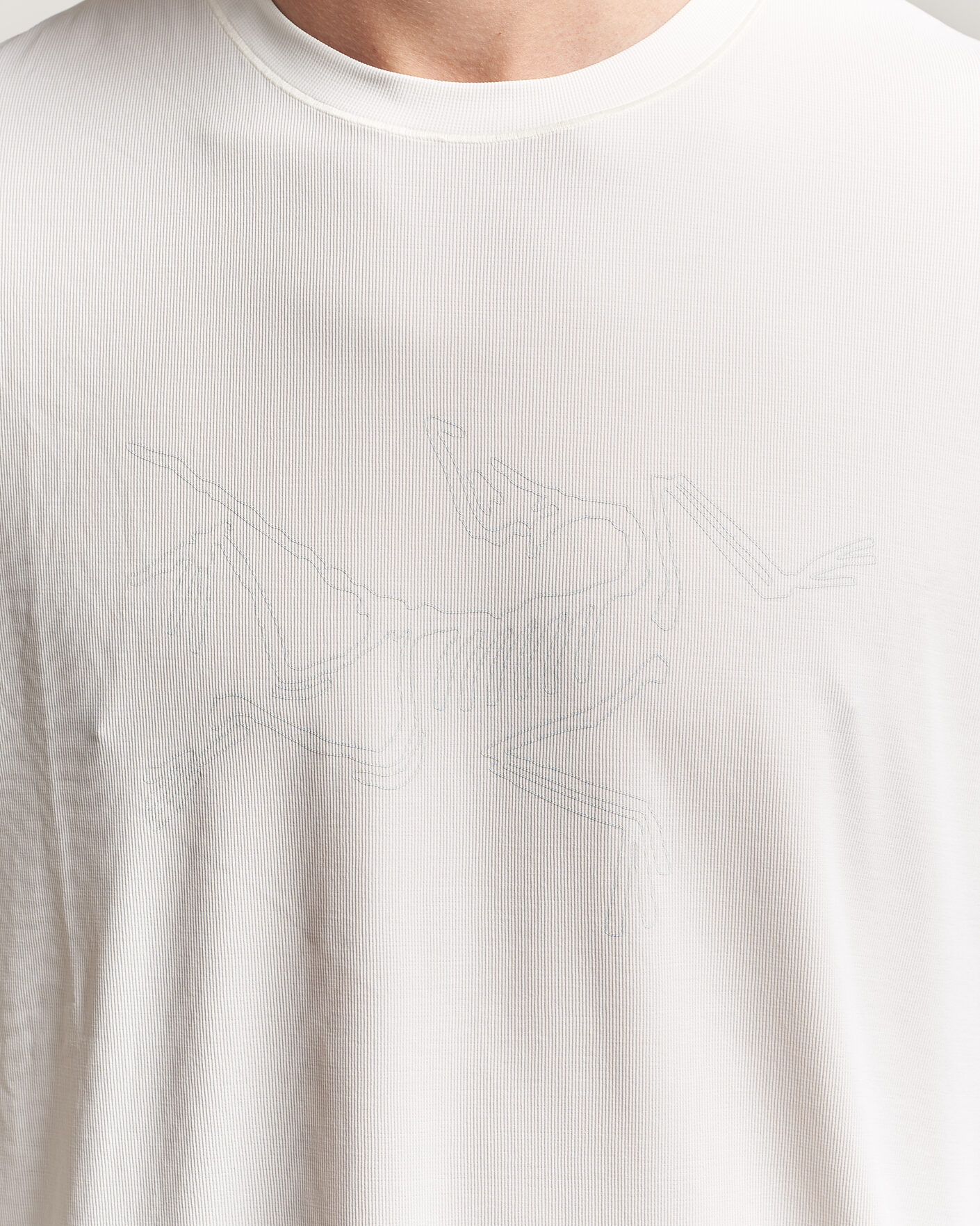 Uomini | T-shirt | Arc'teryx | Cormac Bird Logo Crew Neck T-Shirt Arctic Silk