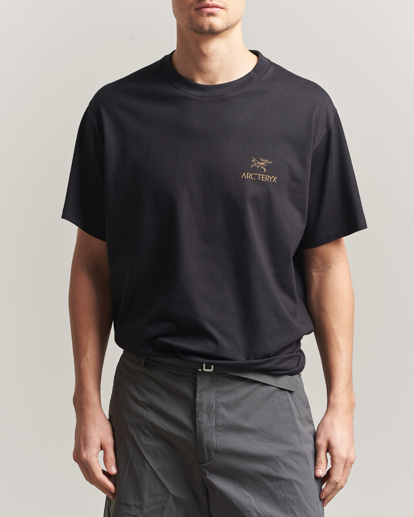 Uomini | T-shirt | Arc'teryx | Kragg Cotton Bird Word T-Shirt Black