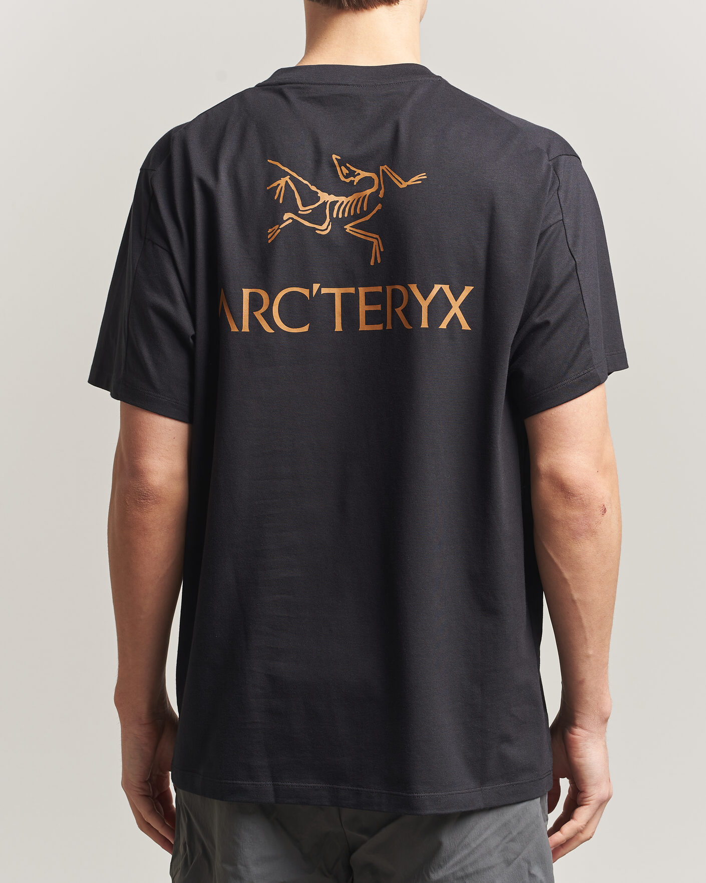 Uomini | T-shirt | Arc'teryx | Kragg Cotton Bird Word T-Shirt Black