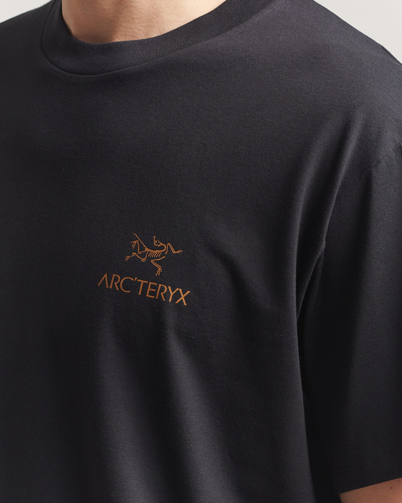 Uomini | T-shirt | Arc'teryx | Kragg Cotton Bird Word T-Shirt Black
