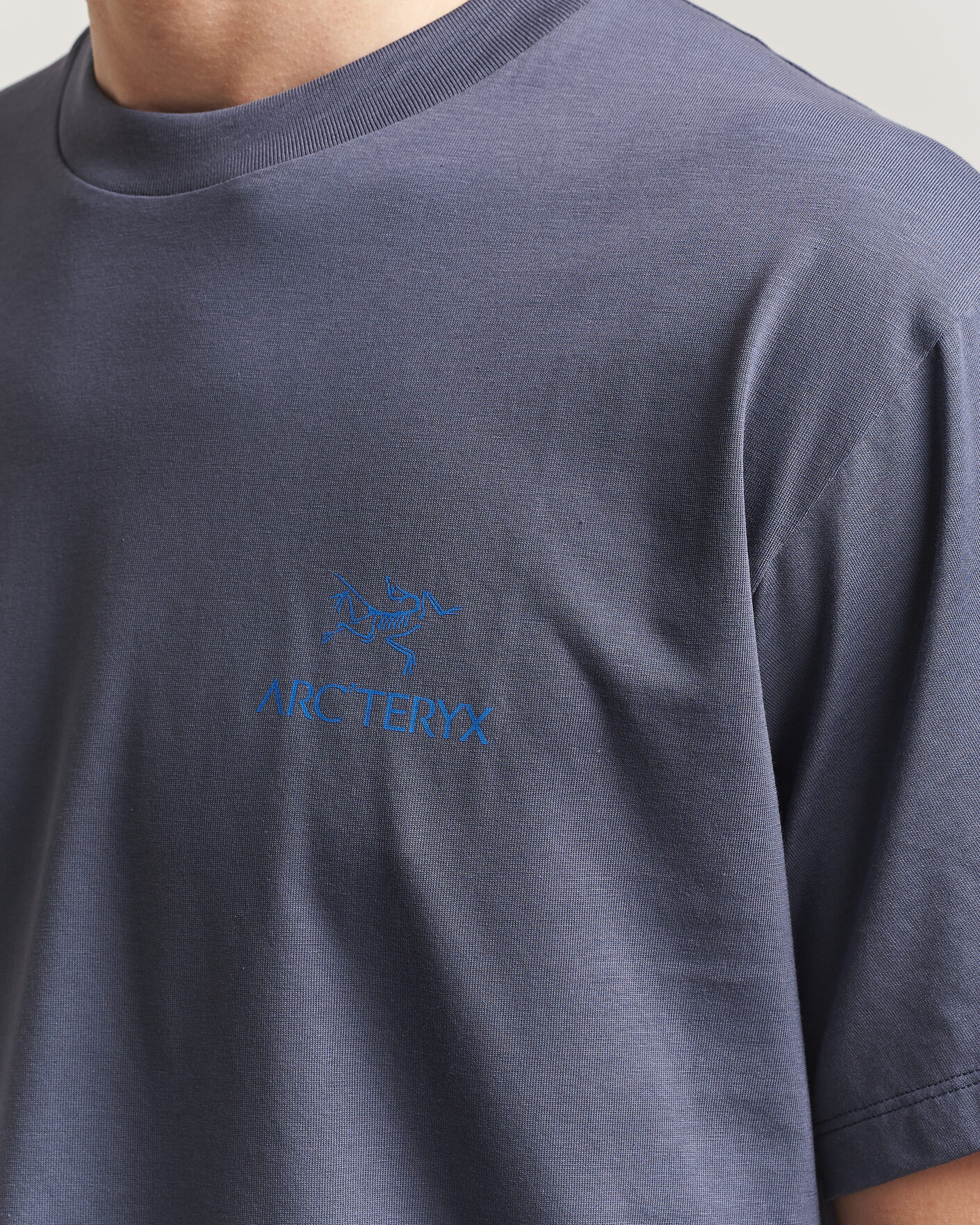 Uomini | T-shirt | Arc'teryx | Kragg Cotton Bird Word T-Shirt Dark Stratus