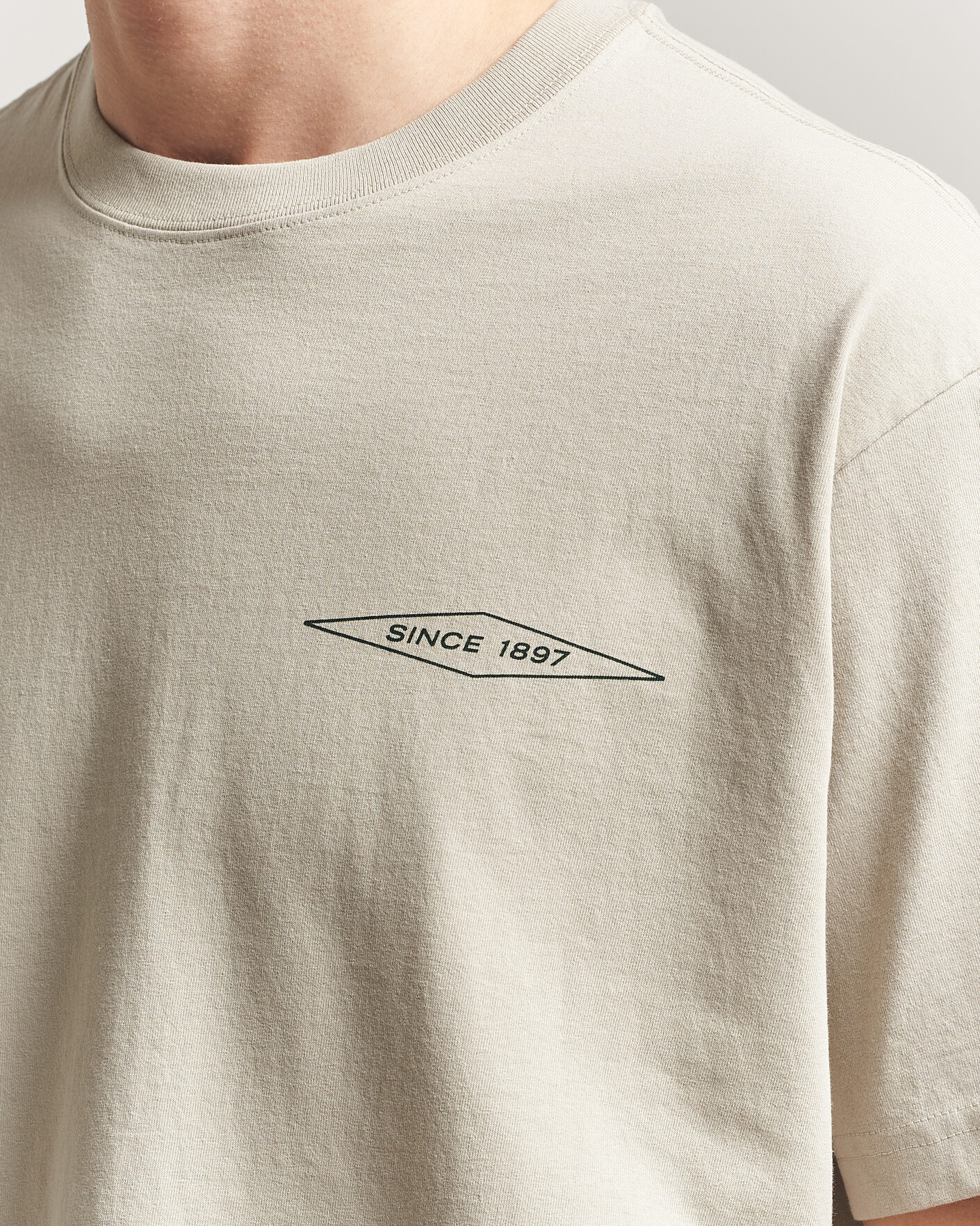 Uomini | T-shirt | Filson | Diamond Graphic T-Shirt Sky Grey