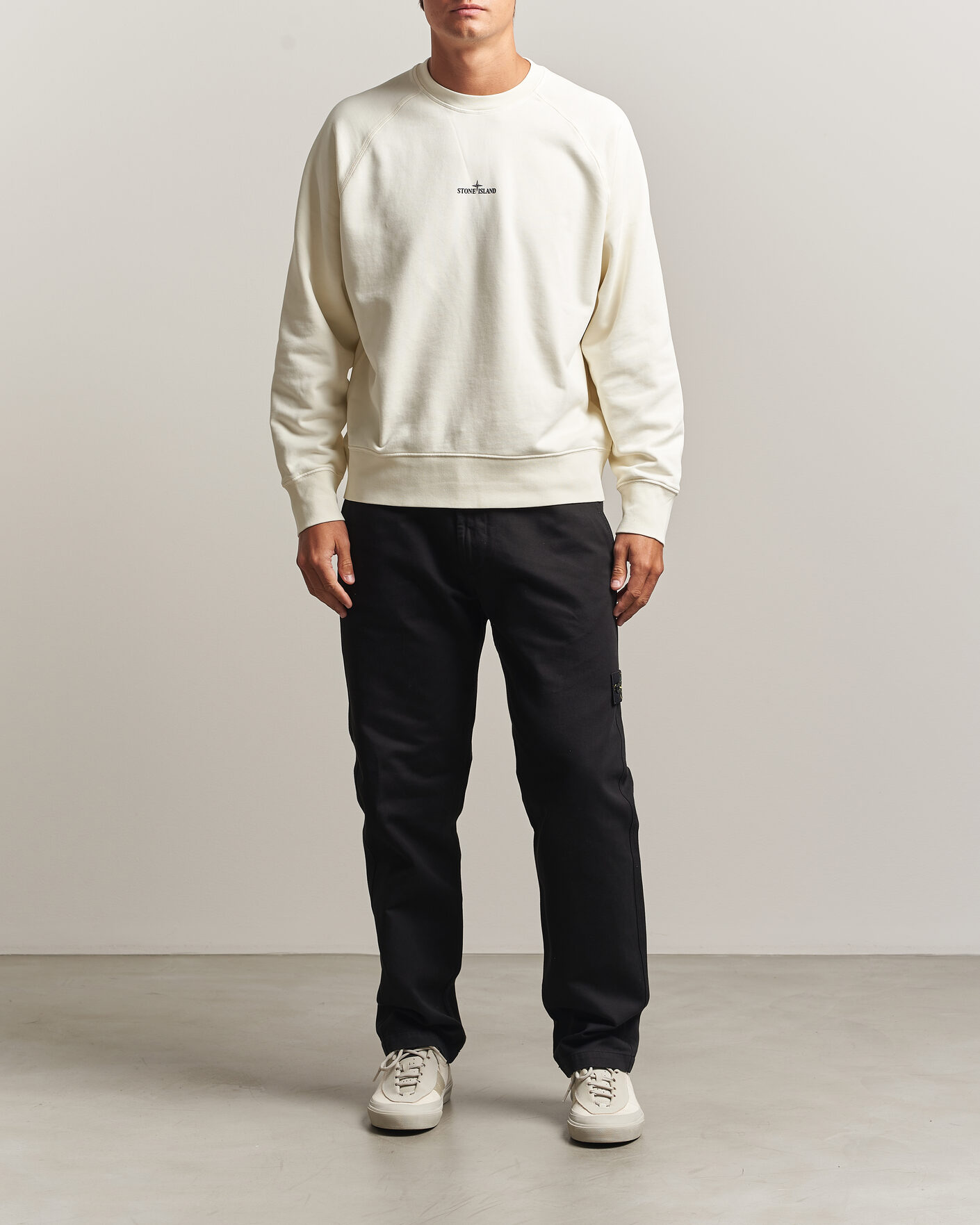 Uomini | Maglieria | Stone Island | Garment Dyed Fleece Desert Print Sweatshirt Ivory