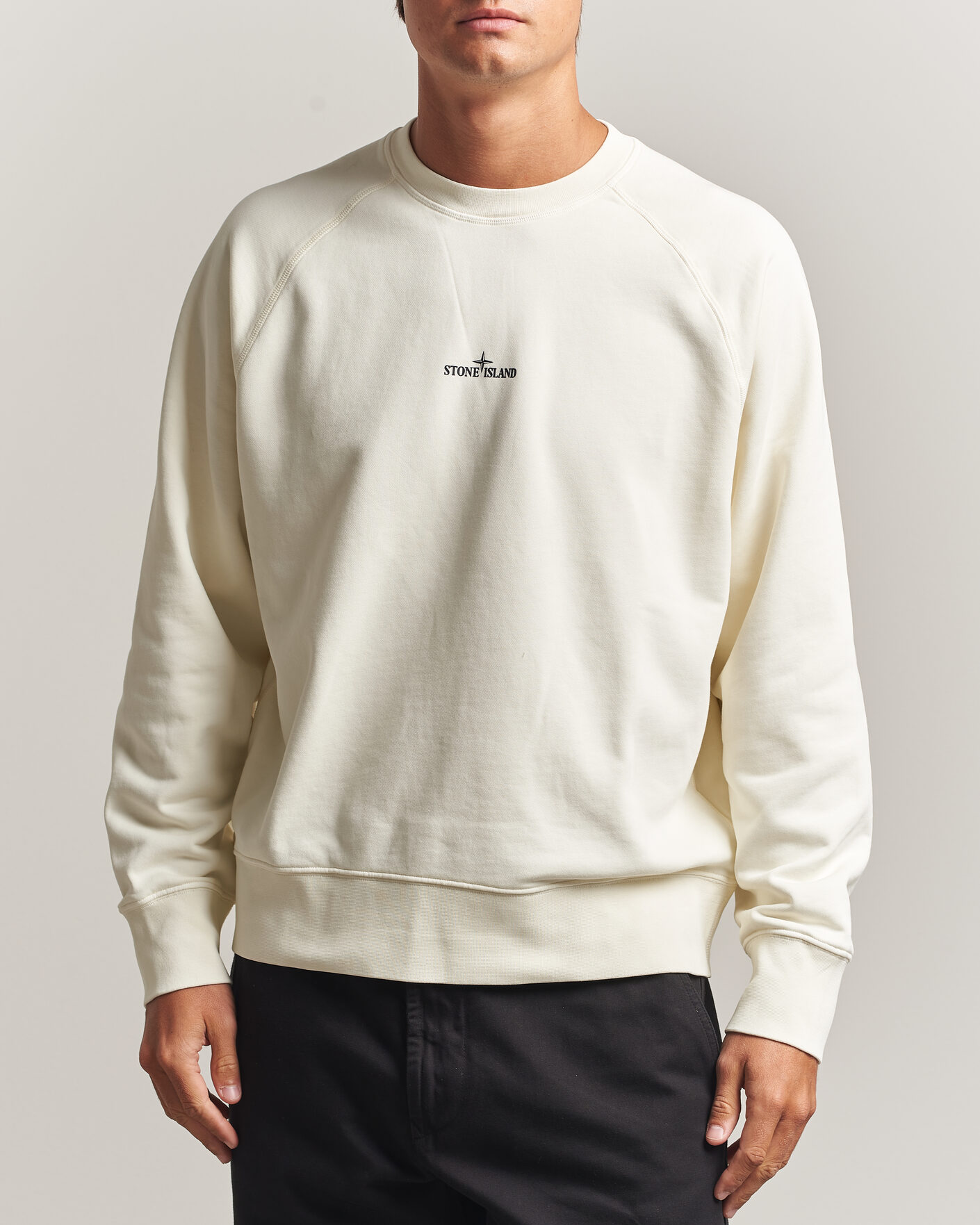 Uomini | Maglieria | Stone Island | Garment Dyed Fleece Desert Print Sweatshirt Ivory