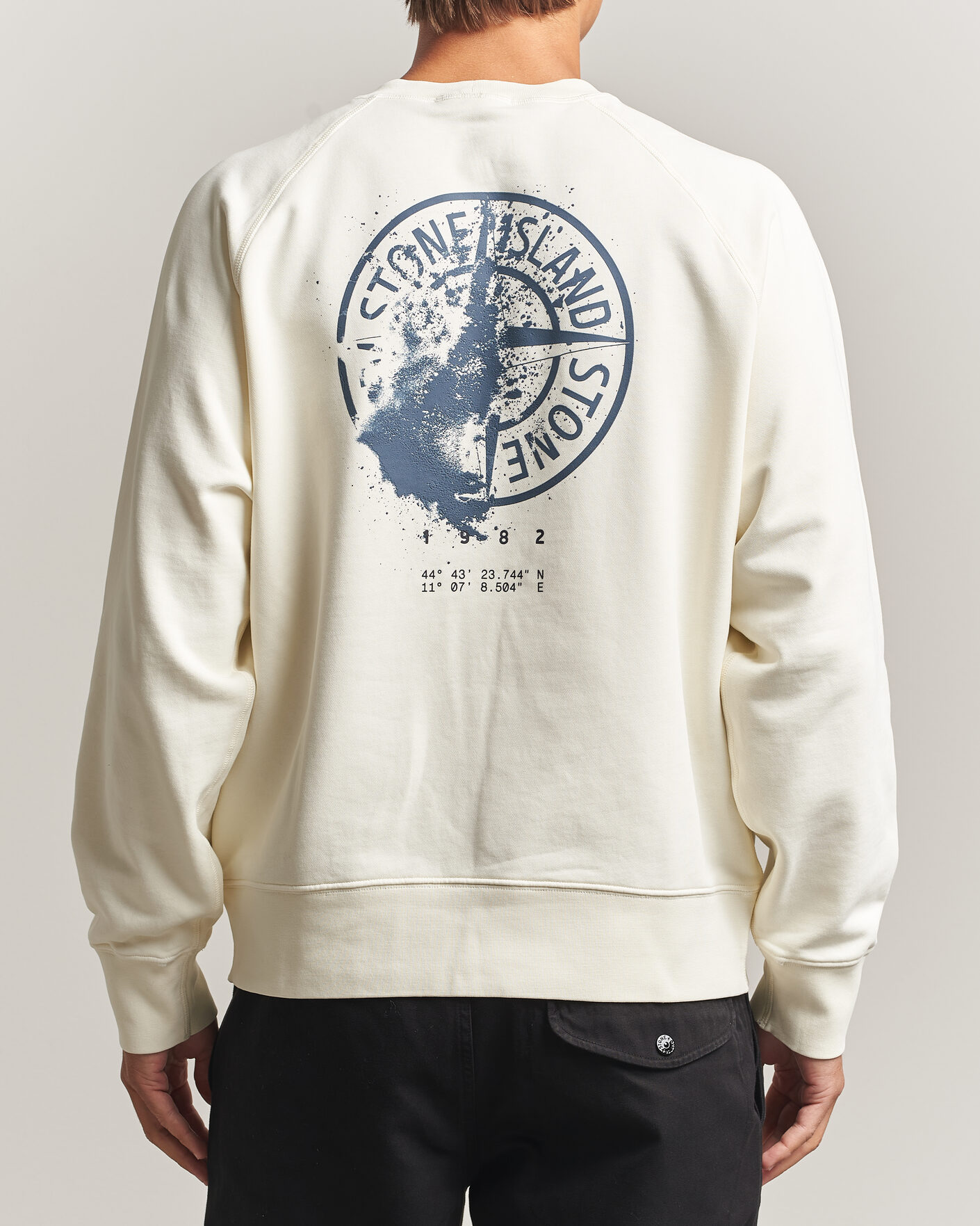 Uomini | Maglieria | Stone Island | Garment Dyed Fleece Desert Print Sweatshirt Ivory