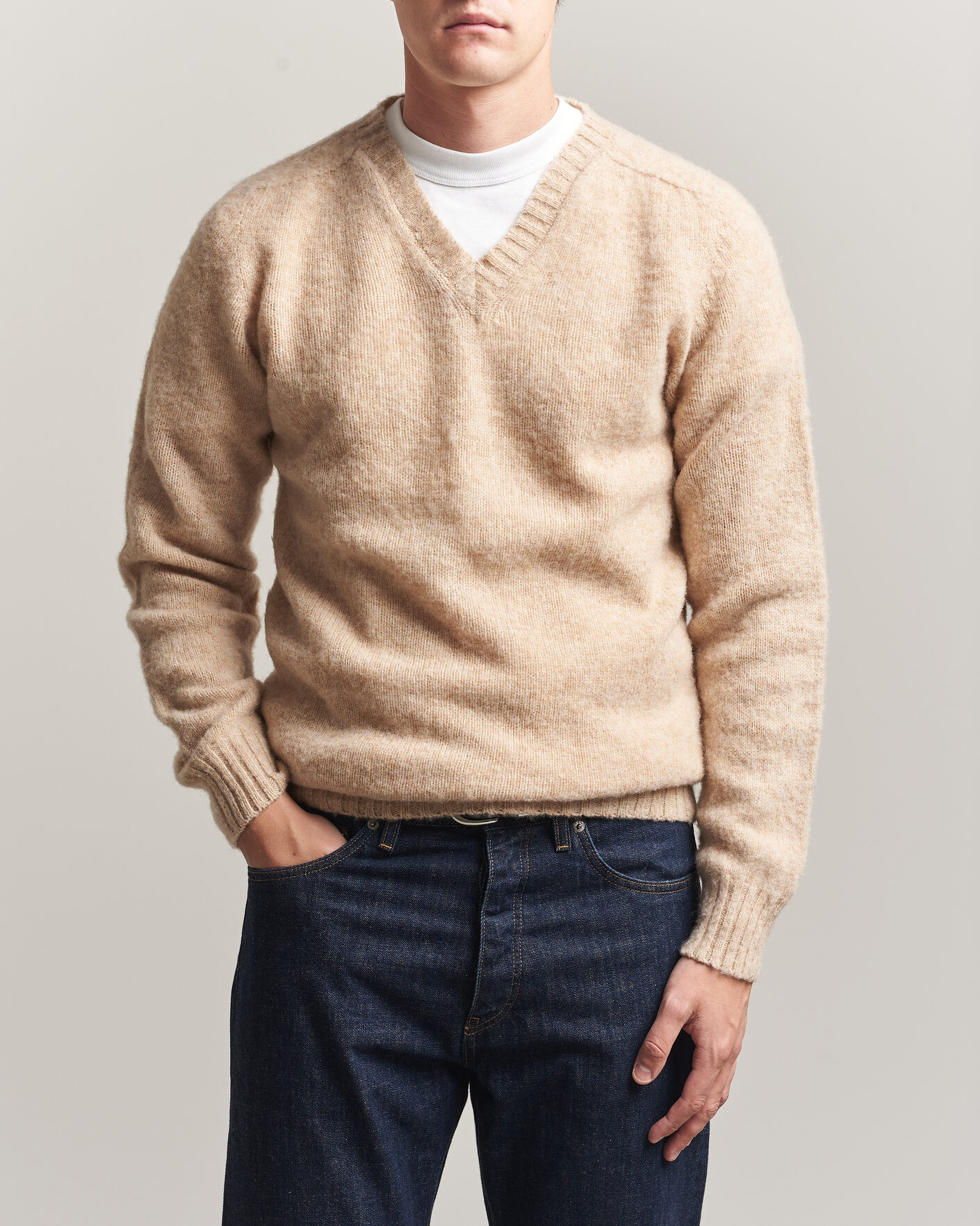 Uomini | Maglieria | Harley Of Scotland for Care of Carl | Brushed Supersoft Lambswool V-Neck Beige