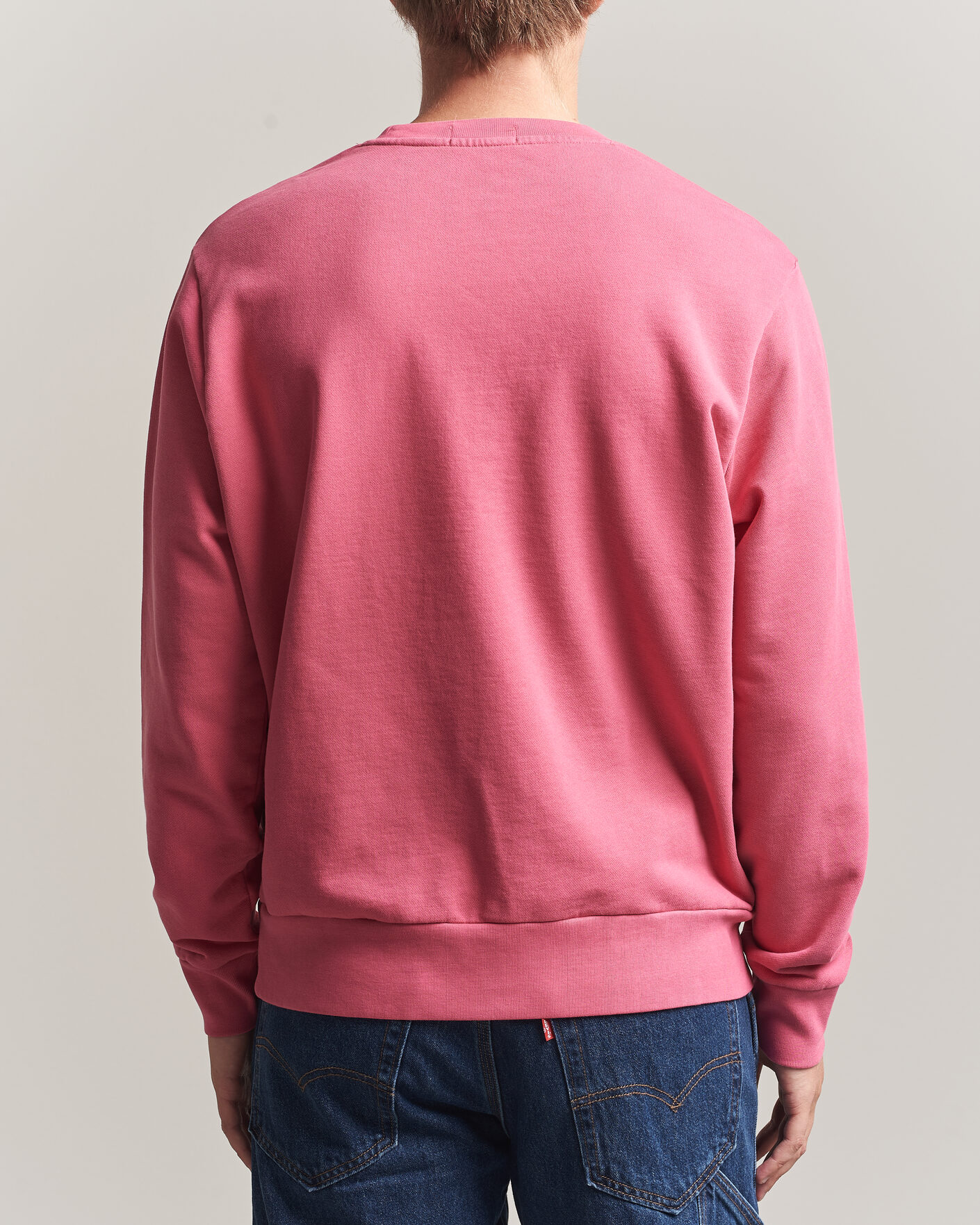 Uomini | Maglieria | Polo Ralph Lauren | Loopback Terry Sweatshirt Terrance Pink