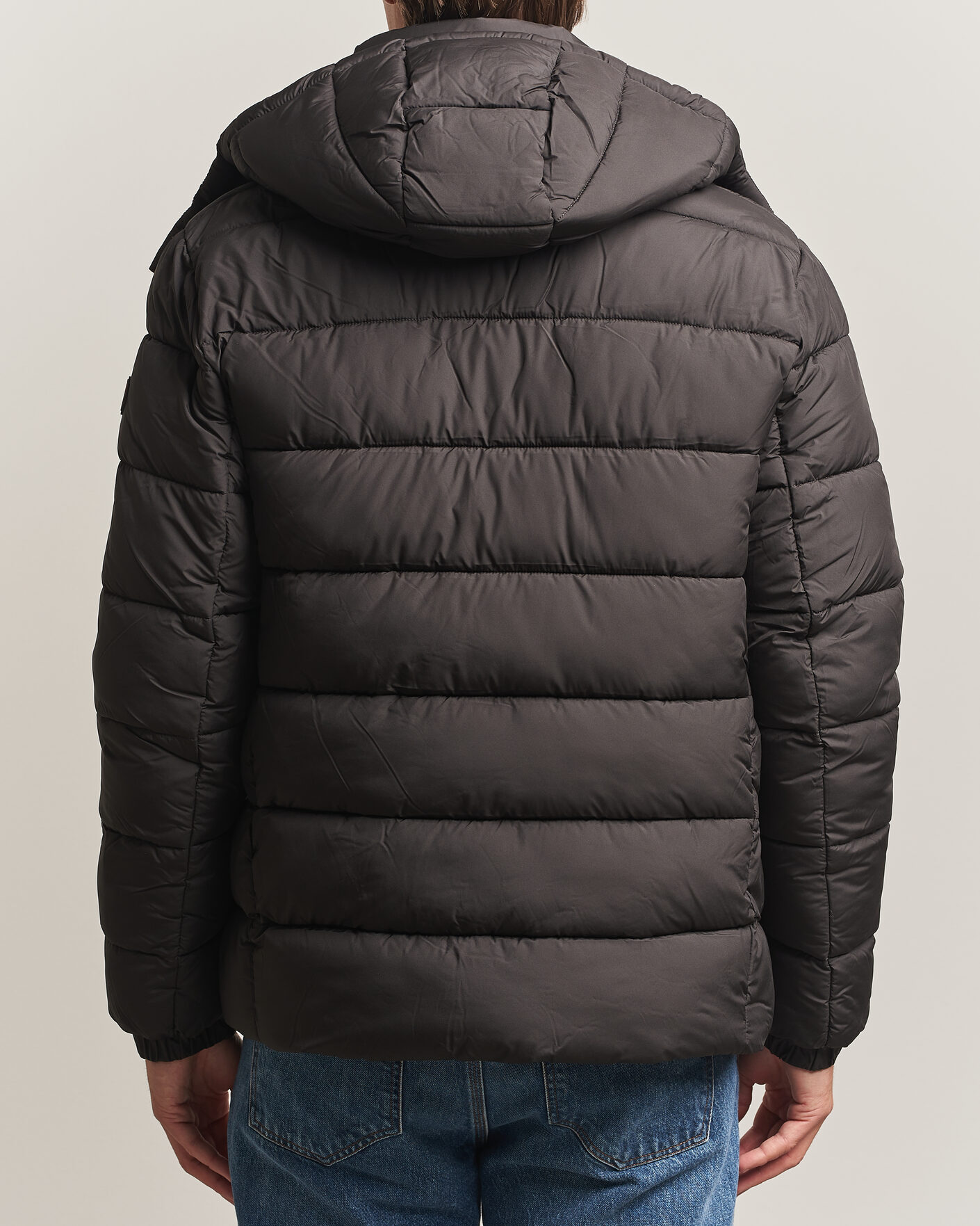 Uomini | Giacche | Save The Duck | Boris Matt Padded Puffer Brown Black