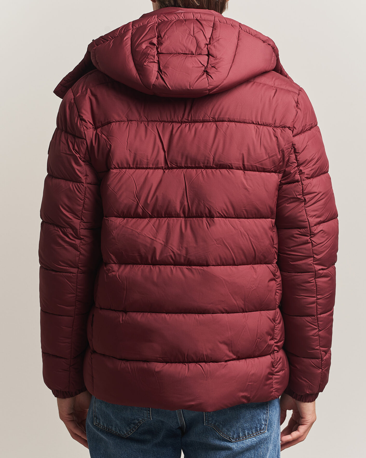 Uomini | Giacche | Save The Duck | Boris Matt Padded Puffer Wine Red