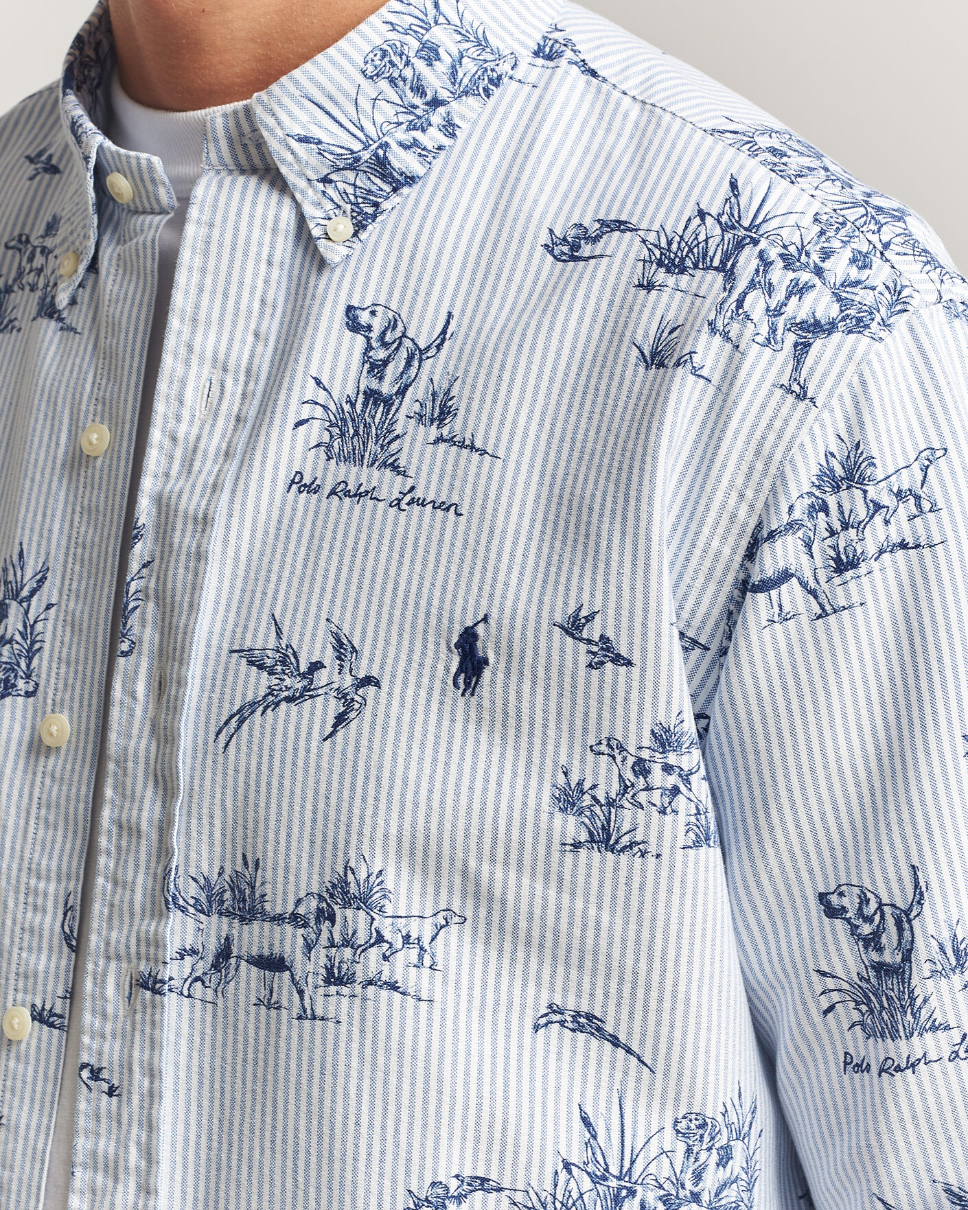 Uomini | Camicie | Polo Ralph Lauren | Custom Fit Printed Oxford Shirt Field & Pheasant