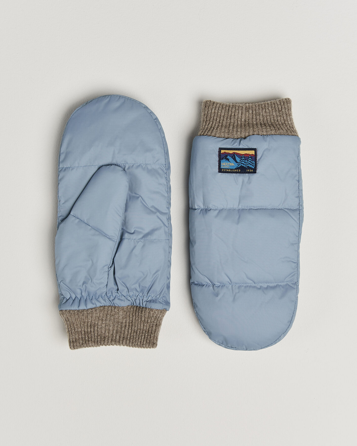 Uomini | Guanti | Hestra | Otra Wind-/Waterproof Primaloft Glove Silent Sky