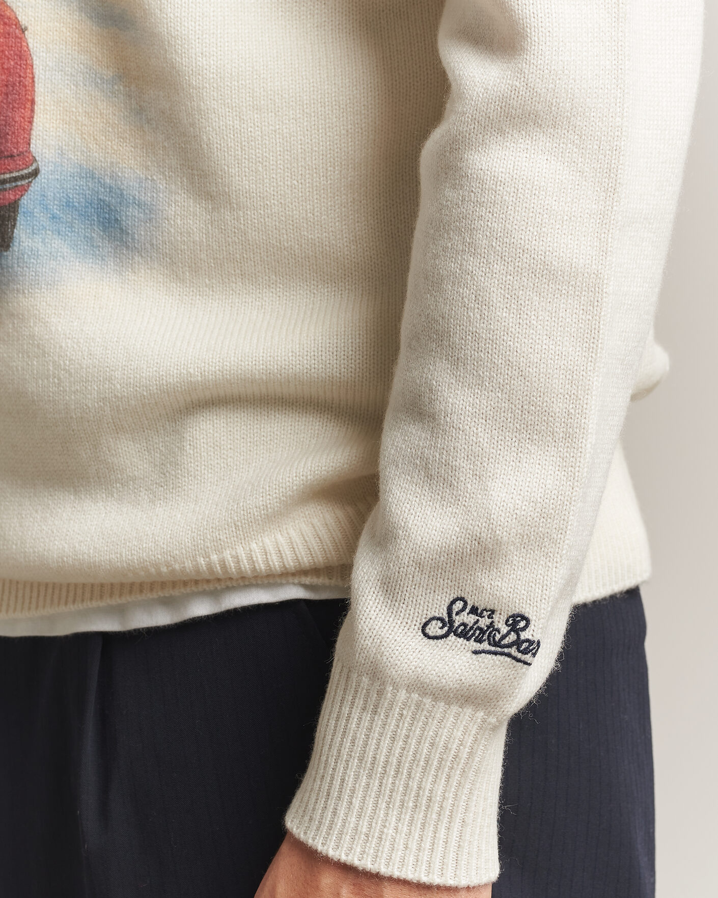 Uomini | Maglieria | MC2 Saint Barth | Heron Printed Sweater Cortina