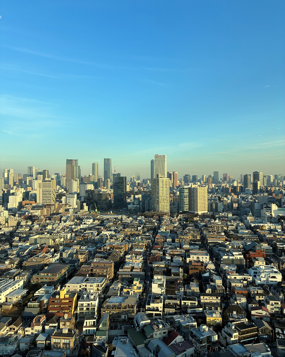 Vista sullo skyline di Tokyo in una giornata limpida